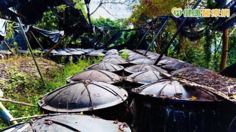 從森林到腳下的每一步：十安以善行健走　展現永續實踐力