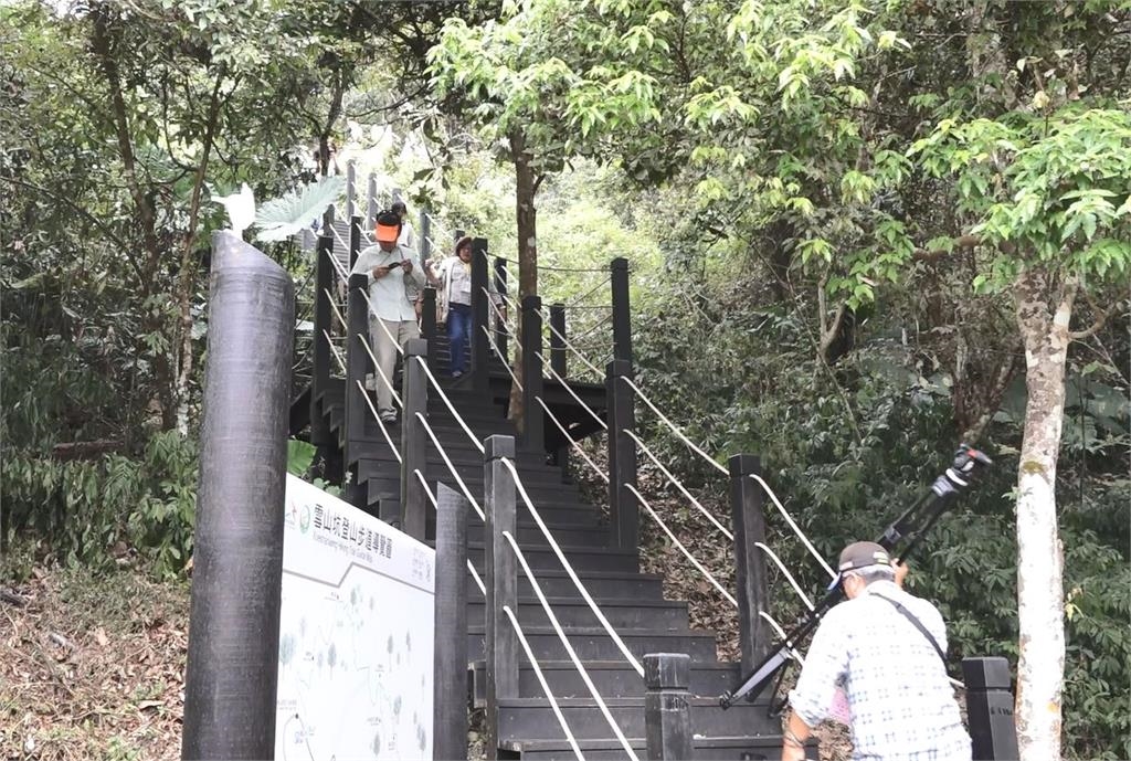 和平專案首站視察雪山坑登山步道 盧秀燕盼山林之美被看見