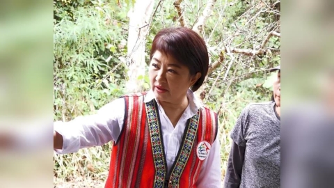 和平專案首站視察雪山坑登山步道　盧秀燕盼山林之美被看見