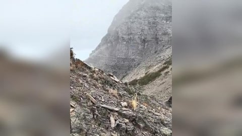 合歡山天氣濕冷　中午下冰霰「雪白冰珠紛落」！