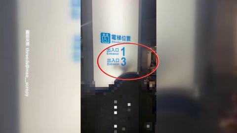 高雄戶外燈箱新裝置藝術? 竟是「野生喵星人」鑽入取暖