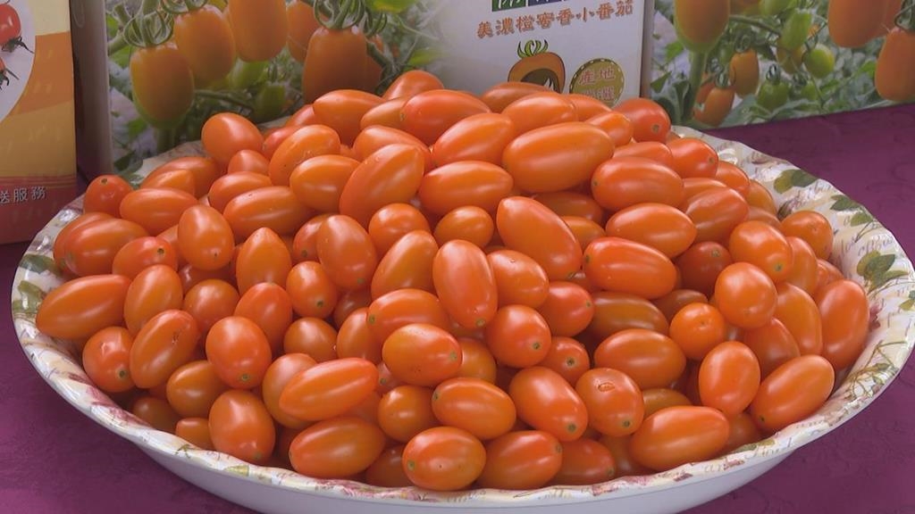 高雄郵局攜手美濃農會推廣番茄　展現在地農產魅力