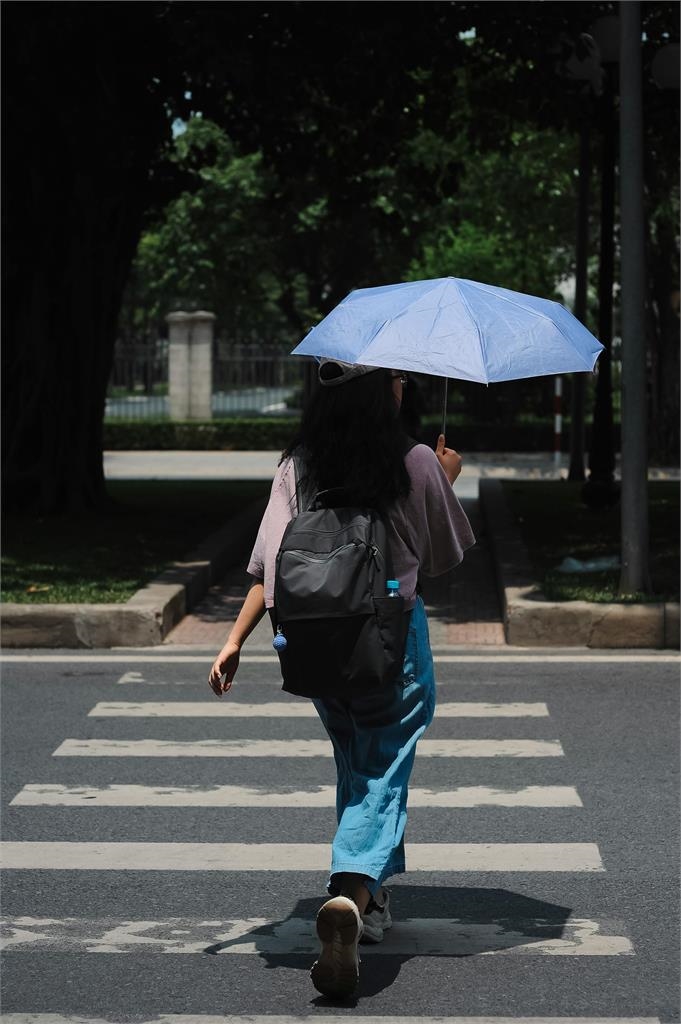 她綠燈倒數衝斑馬線被警攔截！「遭開罰500元」真相曝光…網驚：沒人知道