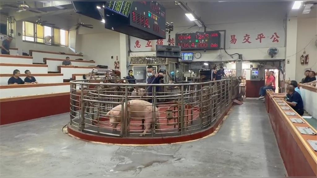 不能鬆懈！台中非洲豬瘟「告一段落」　西班牙驚傳新疫情
