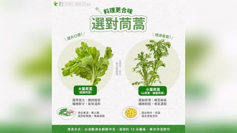 冬季火鍋怎麼煮最對味？這種茼蒿最適合當配料