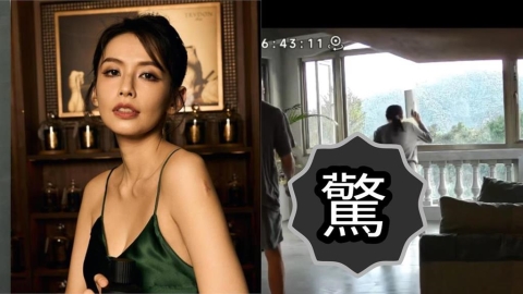 袁艾菲家驚見猴子「徒手開窗」硬闖！超熟練畫面曝光…網笑：根本當自己家