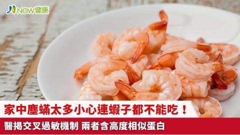 家中塵蟎太多小心連蝦子都不能吃!醫揭交叉過敏機制 兩者含高度相似蛋白