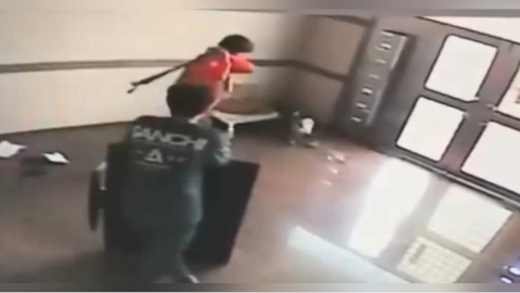 外包臨時工竟爆打家犬「牙斷血流」　PChome急停合作發聲致歉