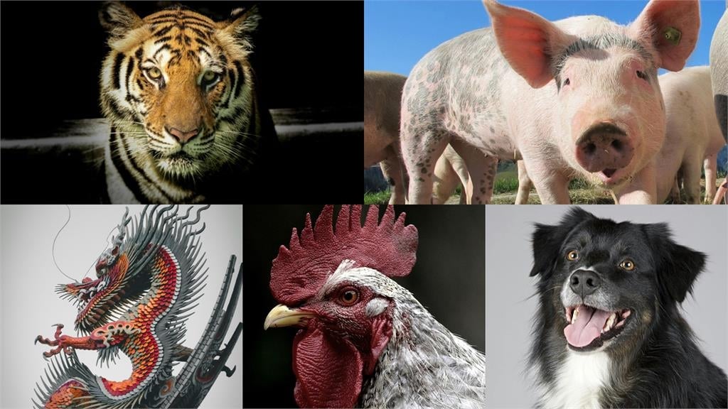 「大雪」節氣將至…5生肖運勢遇寒冬 命理師:需「收藏精氣、祛寒保溫」