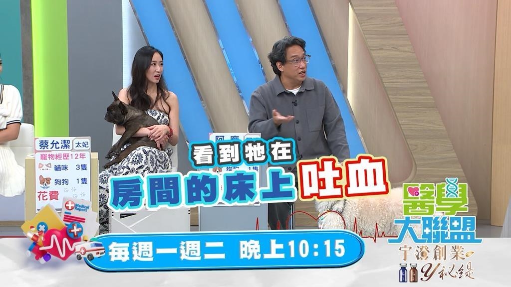 (影)／楊晨熙的狗狗是「皮膚富翁」 蔡允潔為了毛小孩以淚洗面？