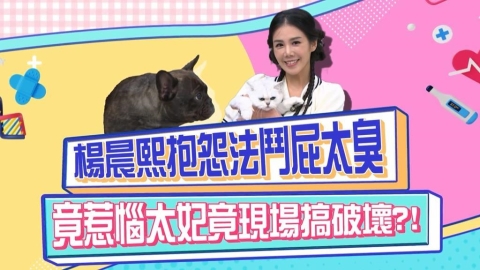 (影)／楊晨熙抱怨法鬥屁太臭 惹惱毛孩現場搞破壞？