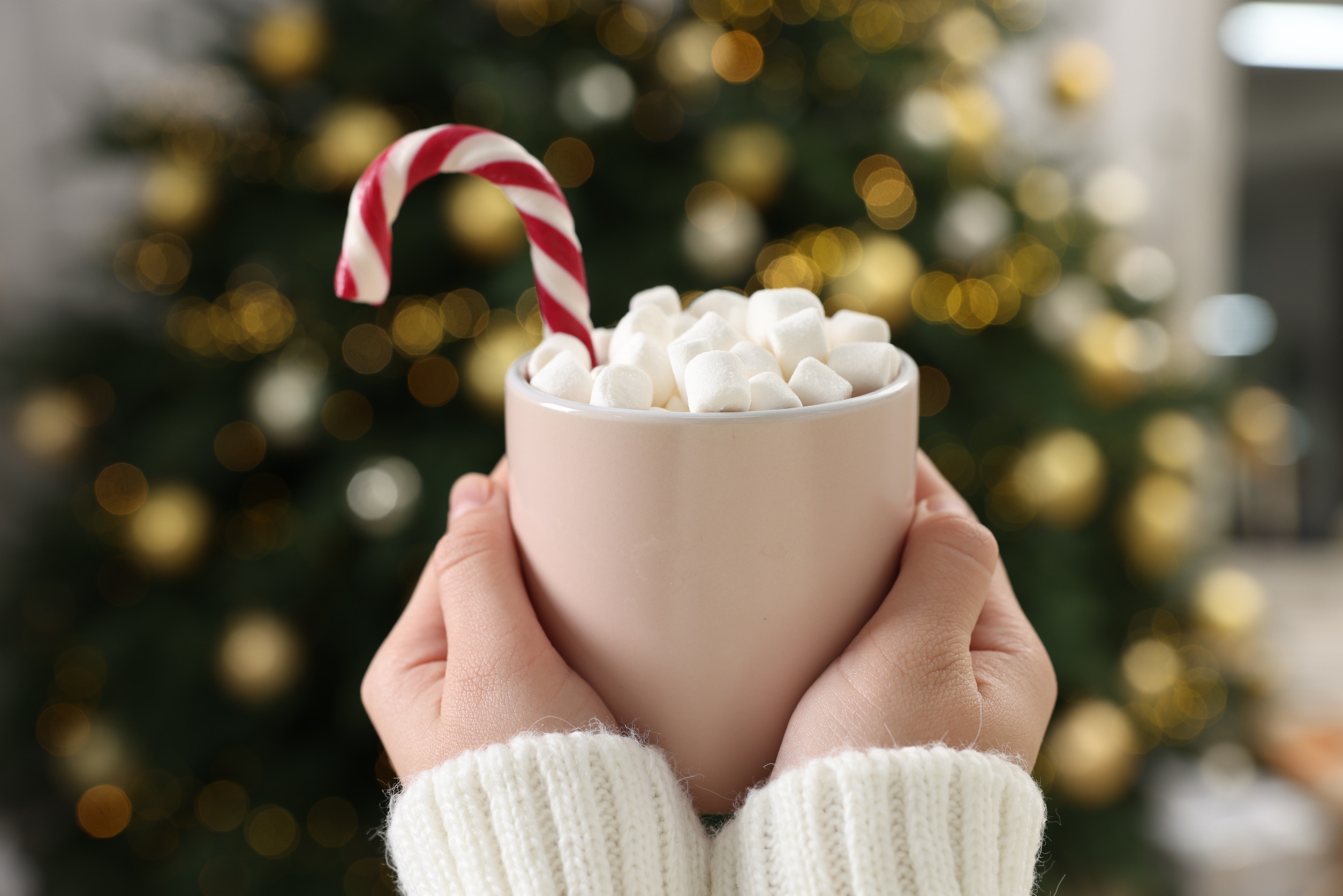 奶香可可是冬天超療癒的甜蜜抱抱。圖/123RF圖庫