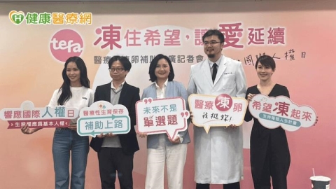 醫療性凍卵補助試辦 癌友搶救生育黃金期