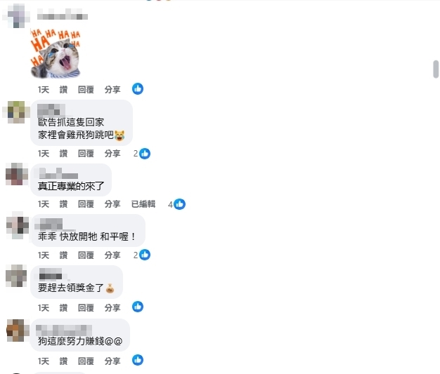 歐告大戰綠鬣蜥「10秒就KO」！叼戰利品雀躍狂奔畫面曝