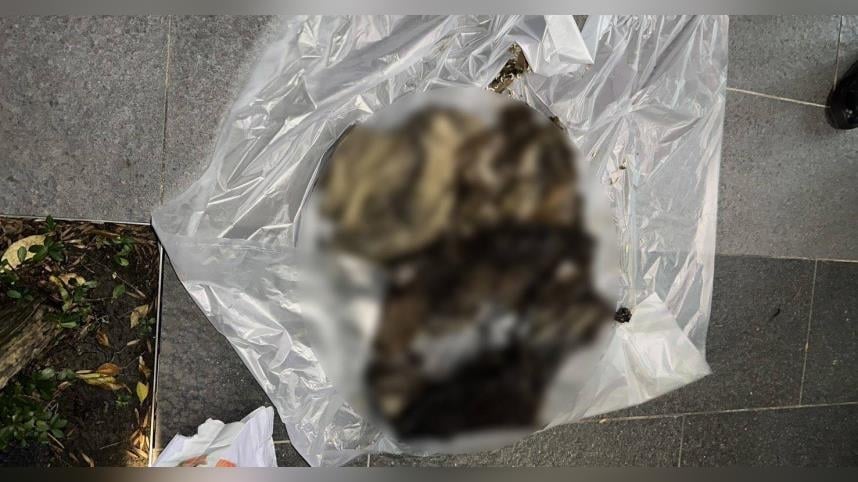 女子丟2袋垃圾「內裝12隻貓屍」！　北市民眾嗅到屍臭攔截報警