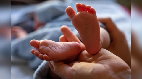 寄養家庭涉傷害安置幼童 女子遭高雄地院判刑