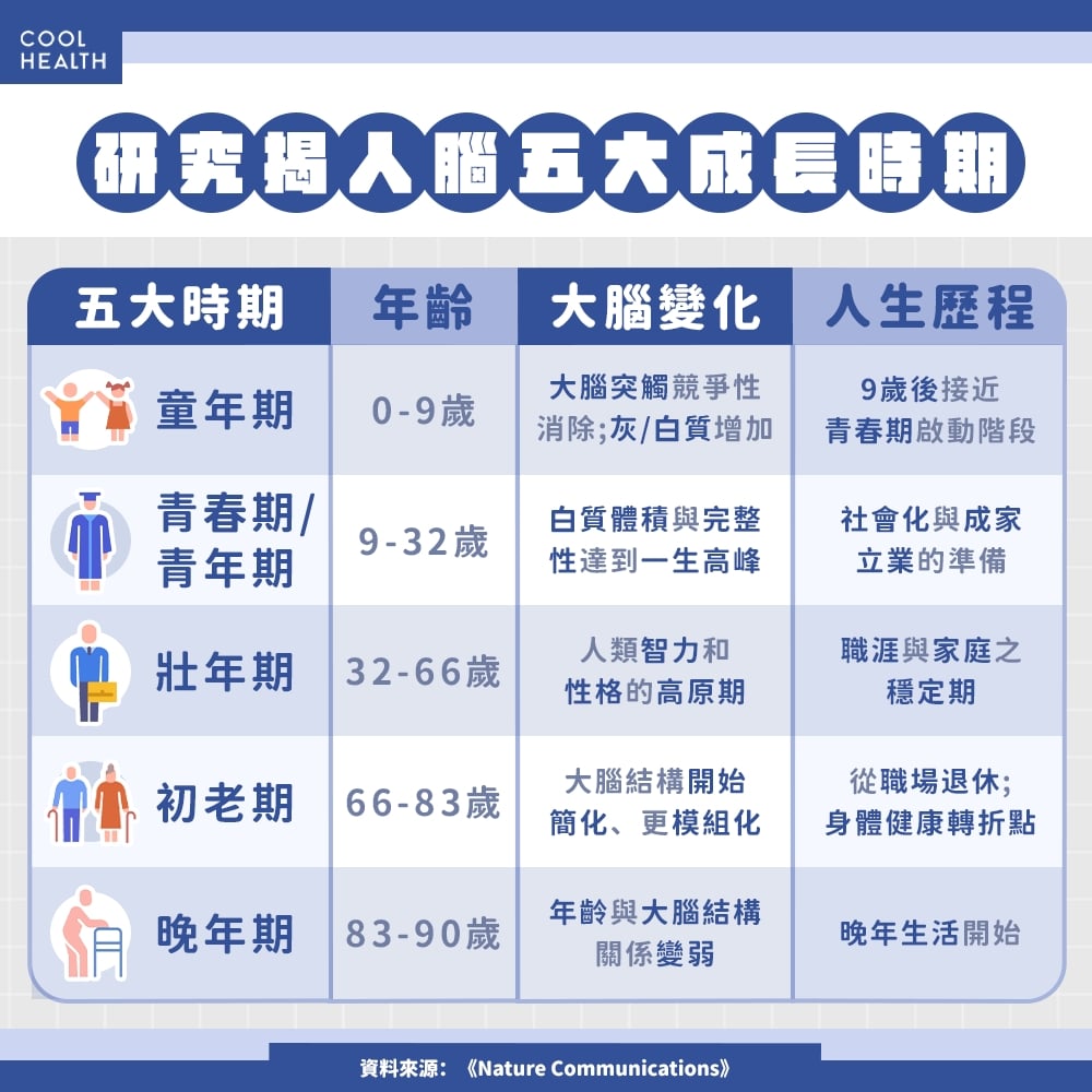 32歲是大腦運作巔峰期？ 研究揭4大關鍵轉折點
