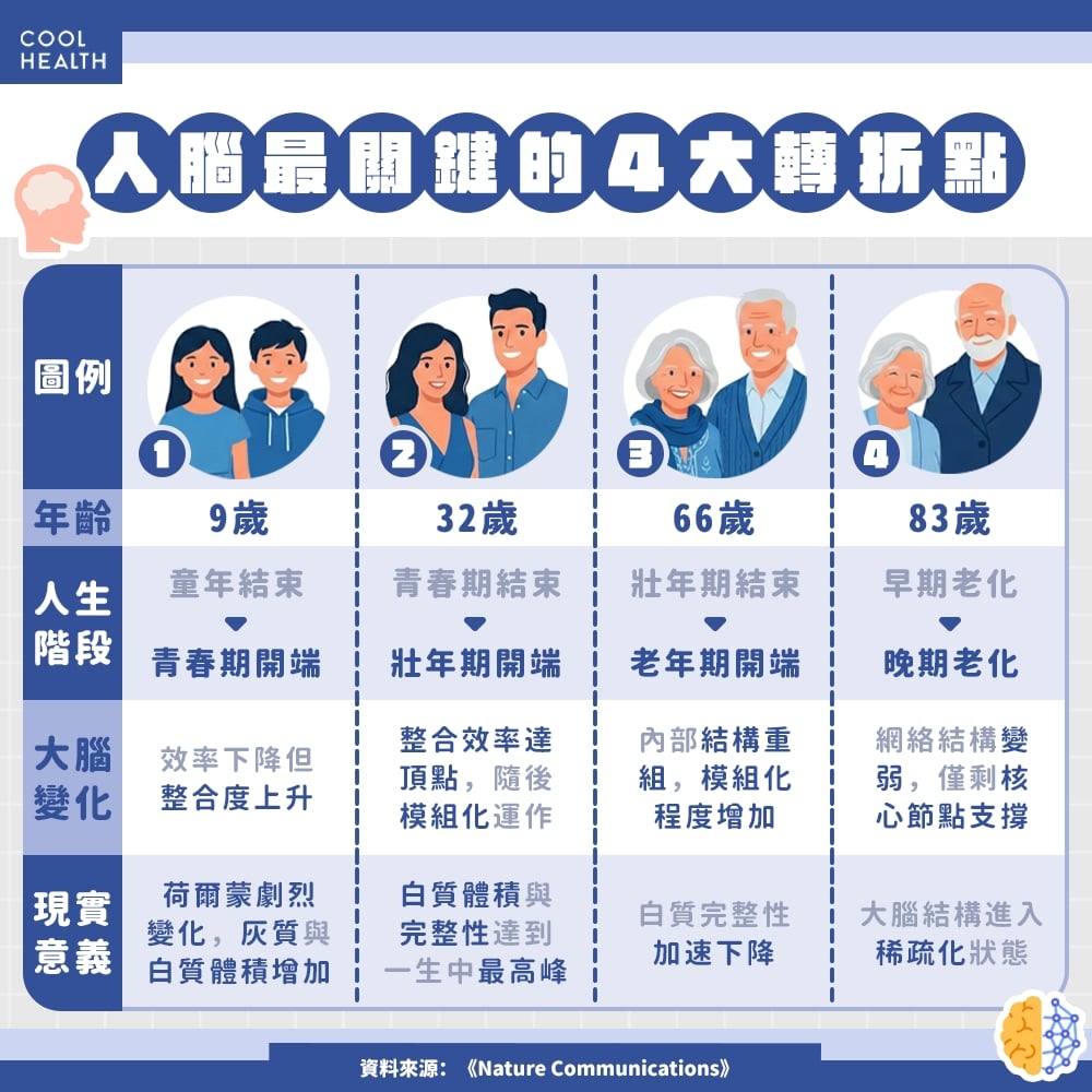 從成家立業到退休養老  大腦結構變化的「人生縮影」