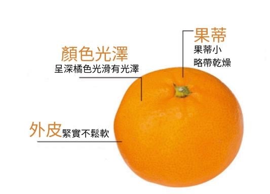 橘子怎麼挑選才好吃？日官方揭滿足「3關鍵」就會香甜又多汁