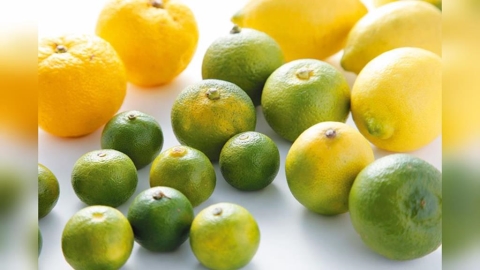 橘子怎麼挑選才好吃？日官方揭滿足「3關鍵」保證香甜又多汁！