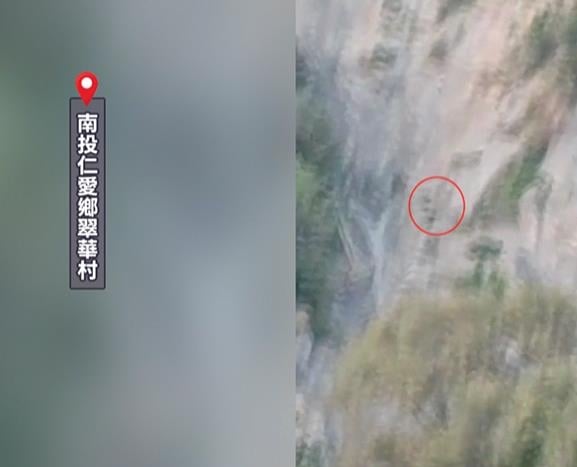 南投有熊出沒! 驚見"黑熊爬峭壁"離露營區僅350公尺