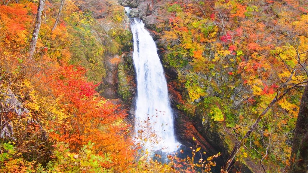 快新聞/看不到車尾燈!日官方統計「東北、函館」留宿外籍客數 台灣人狠甩各國
