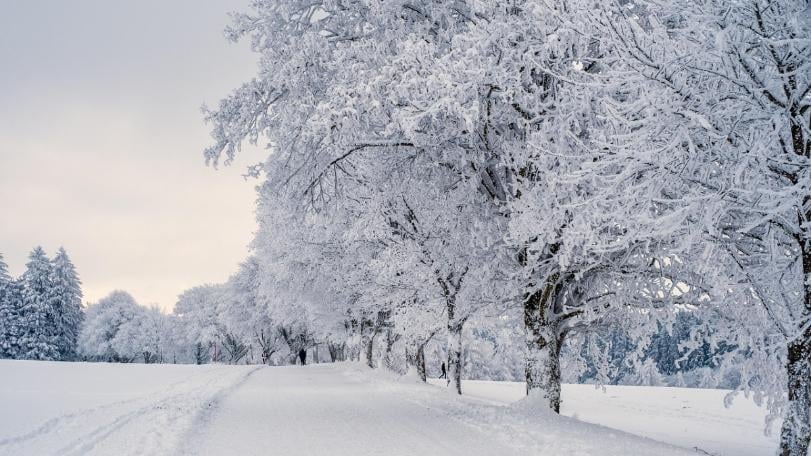 今天節氣「大雪」　楊登嵙教你開運法！6大禁忌一次看