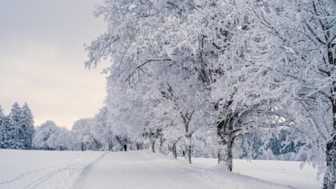 今天節氣「大雪」　楊登嵙教你開運法！6大禁忌一次看