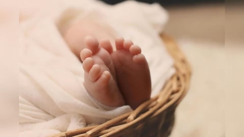 新生兒保12萬挑戰 醫:試管補助3.0帶動二寶潮