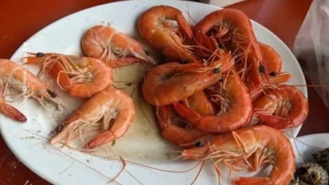 一斤400元斑節蝦東港代客料理! 民眾控"被掉包"出現小白蝦