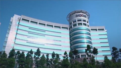 旺宏11月營收月減年增　前11月累計續走揚