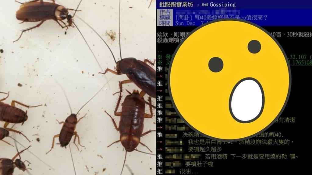 他讚「這噴霧」比殺蟲劑還強！內行搖頭反推「殺蟑1神器」：還有清潔效果