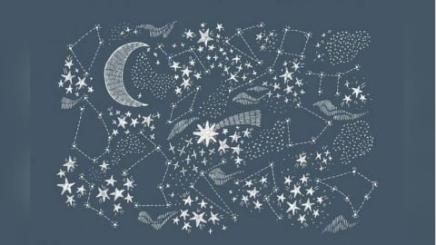 「桃園之星」一週運勢12/8~12/14雙子桃花增多