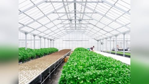 韓國政府砸千億韓元打造AI農產平台 即時價格與供需分析提高市場透明度