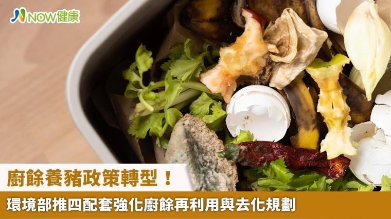 廚餘養豬政策轉型！ 環境部推四配套強化廚餘再利用與去化規劃