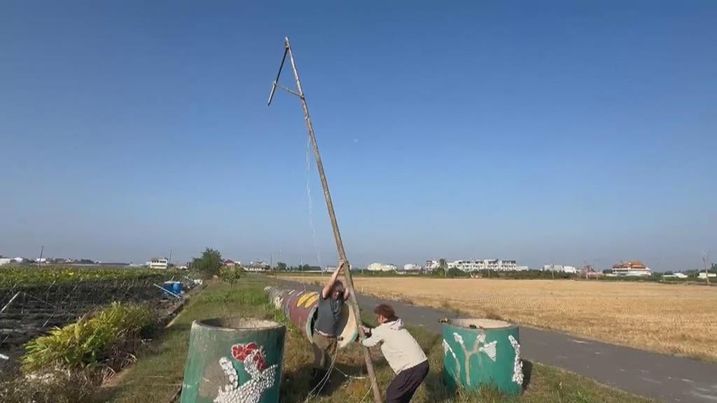 台南推動"猛禽棲架"防鼠害 守住農民心血