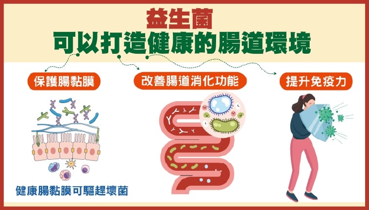 觀察糞便自我檢測腸道健康! 醫揭壞菌增生來自3因素