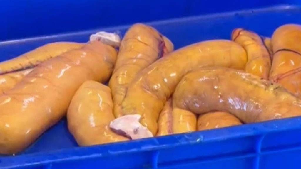 年終獎金入袋！ 彰化漁民東引抓逾千尾＂正頭烏＂