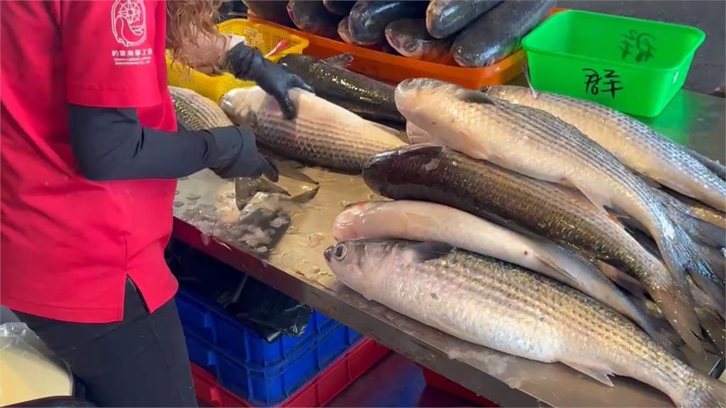 年終獎金入袋！ 彰化漁民東引抓逾千尾＂正頭烏＂