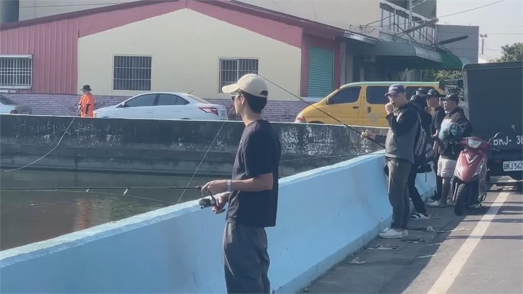 交給專業的! 鱷雀鱔橫行多日 釣客兩小時制伏