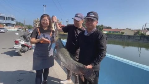 交給專業的! 鱷雀鱔橫行多日 釣客兩小時制伏