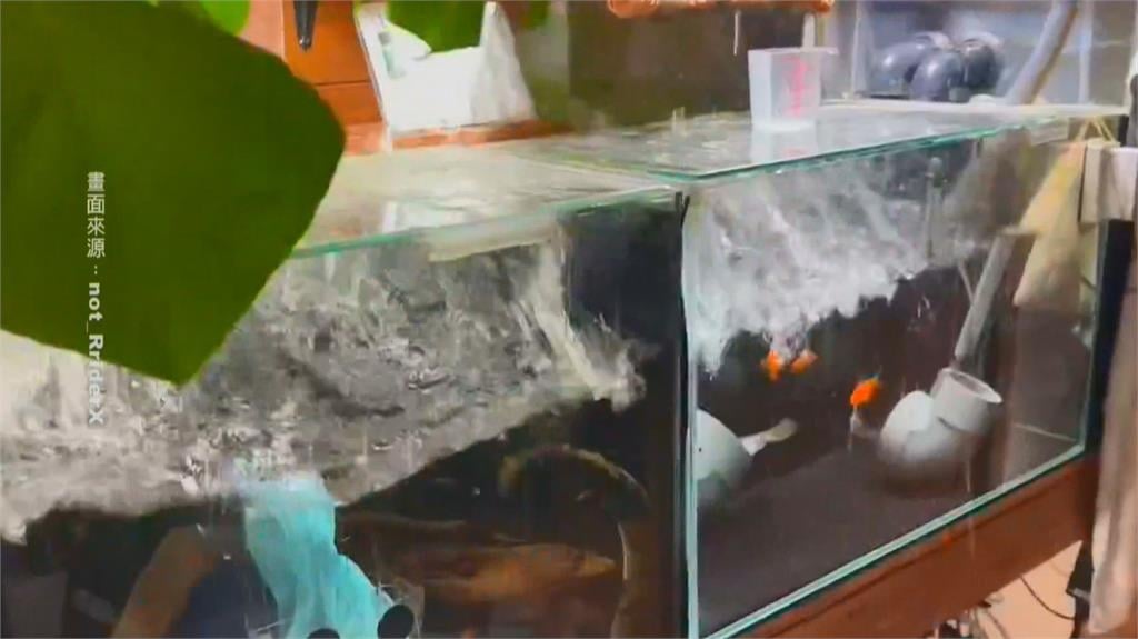 日本7.5是「前震」?地殼東移9公分 專家:未來規模8以上機率提高