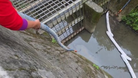 環境部出手!基隆河油污源頭找到了 「這3行政區」稽查結果出爐