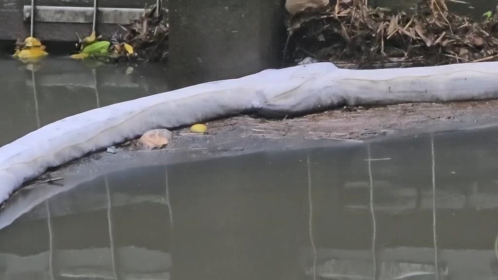 監測失靈？基隆河「出現油味」遭疑未公告　台水應變措施全說了