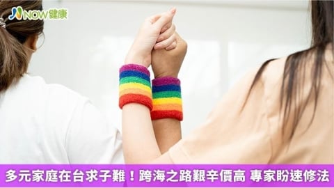 多元家庭在台求子難!跨海之路艱辛價高 專家盼速修法