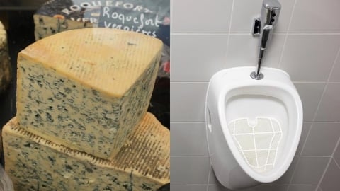 20多歲男下面「激似大岩蛇」!狂飄「藍紋起司味」女友怒了:X腰我吃到垢