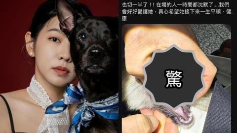 米可白639字怒斥苗栗虐犬案!痛批「割聲帶竟不算虐待」:制度破洞