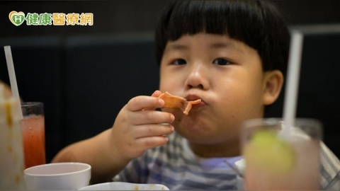 讓孩子吃了什麼？發現從出生至學齡前的肥胖與過敏風險因子！