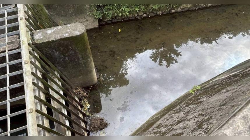 環境部曝基隆河油汙源頭！　3行政區累計稽查62家、告發2家