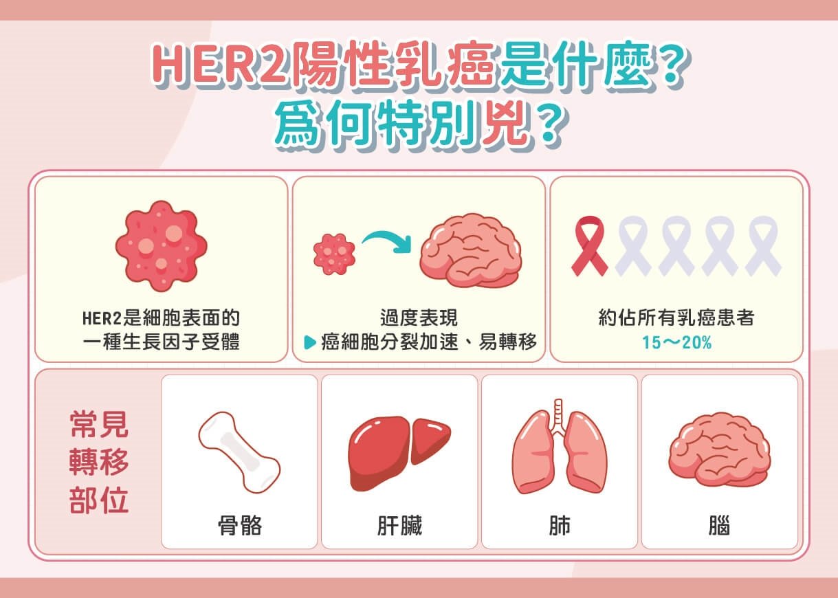 HER2陽性乳癌不是切掉就沒事！強化輔助治療成逆轉關鍵